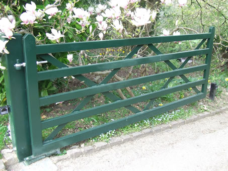 Automated Electric Swing Gate Photo